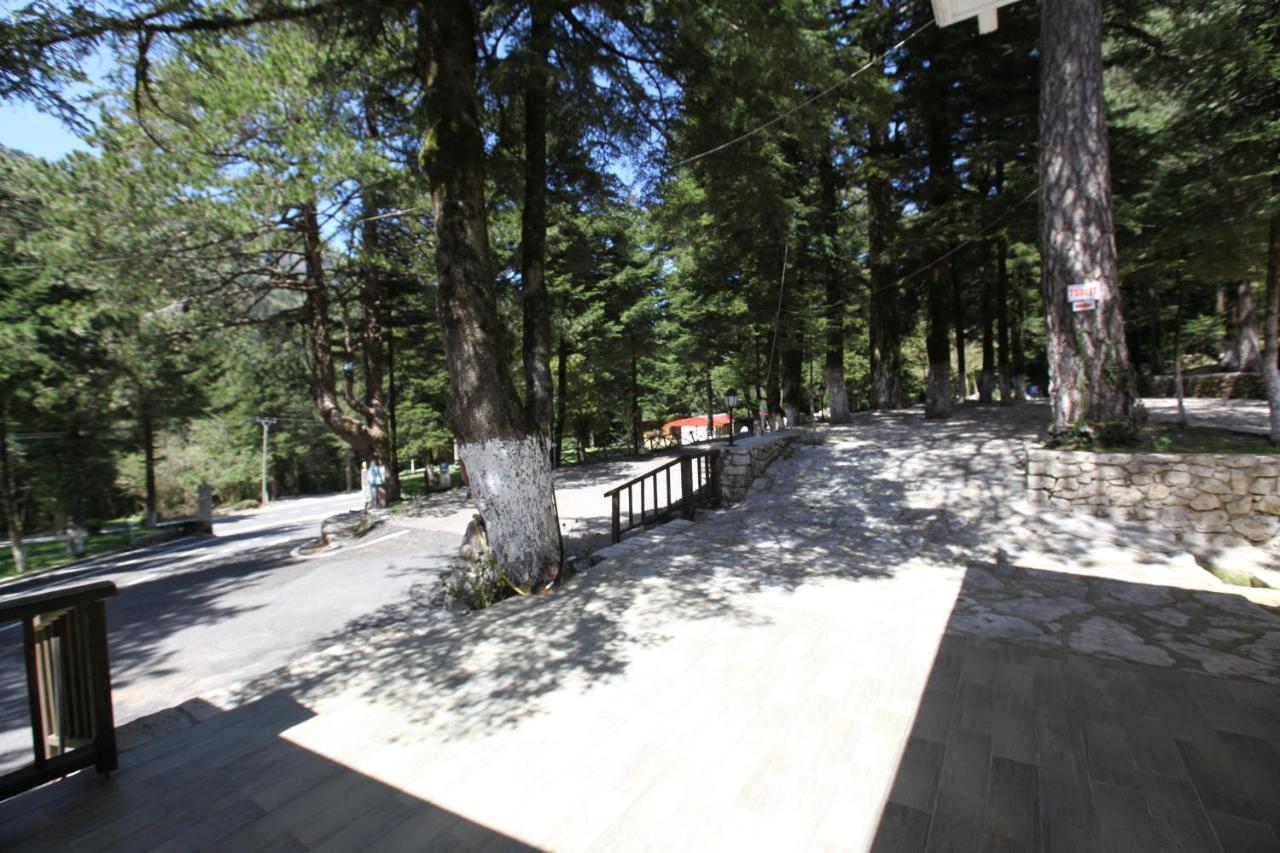 Bujtina Uji I Panjes, Log Cabins Dukat Kültér fotó