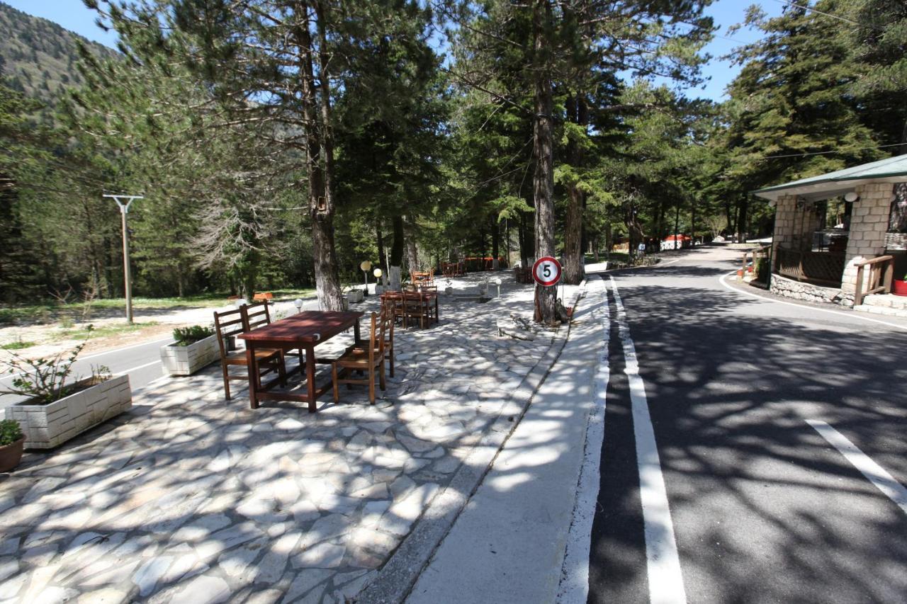 Bujtina Uji I Panjes, Log Cabins Dukat Kültér fotó