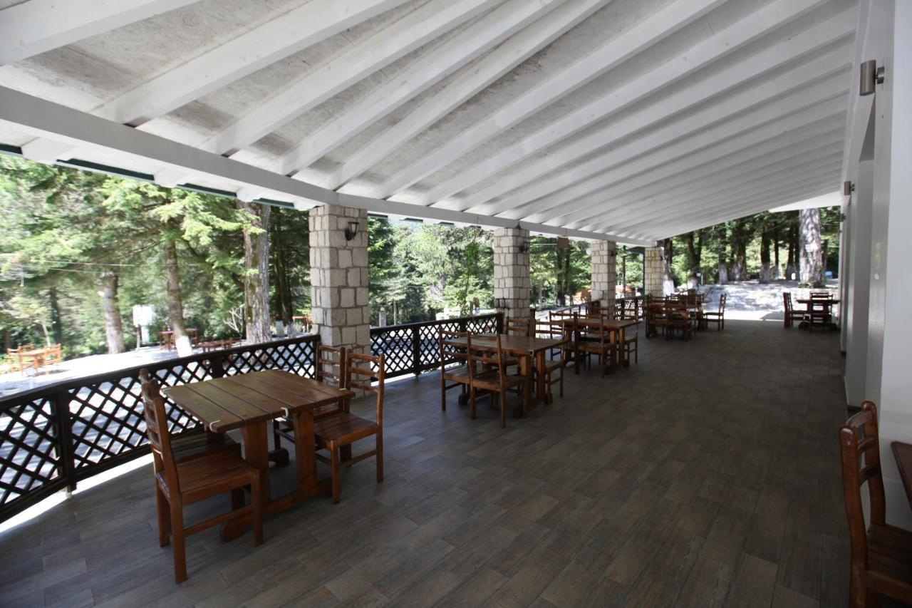 Bujtina Uji I Panjes, Log Cabins Dukat Kültér fotó