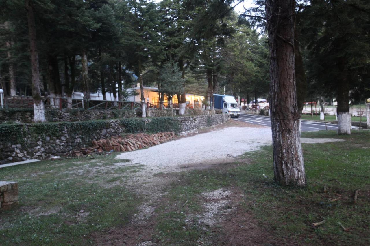 Bujtina Uji I Panjes, Log Cabins Dukat Kültér fotó