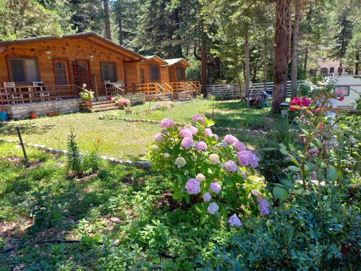 Bujtina Uji I Panjes, Log Cabins Dukat Kültér fotó