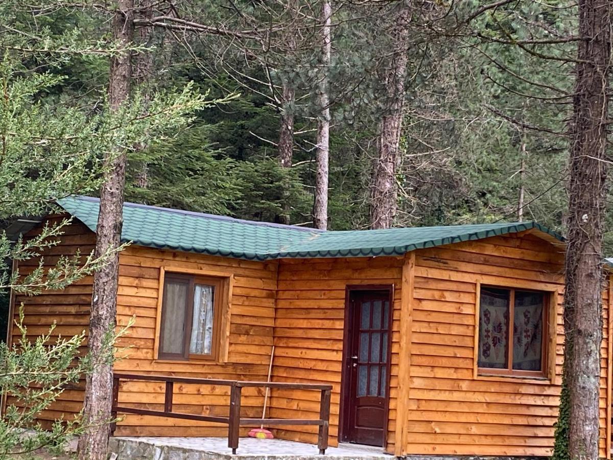 Bujtina Uji I Panjes, Log Cabins Dukat Kültér fotó