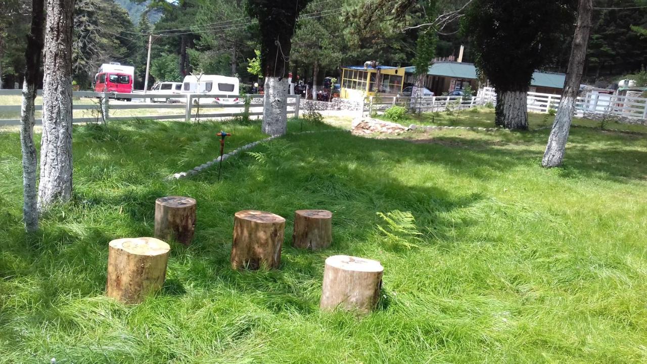 Bujtina Uji I Panjes, Log Cabins Dukat Kültér fotó